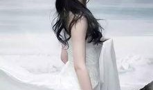 刘岩爆料刘亦菲视频大全,揭秘娱乐圈背后的故事